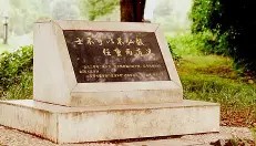 电子竞技官网首页-这也行？风云突变布莱顿关键时刻刷新队史纪录集结日菲尼克斯太阳备战法甲，阿森纳围绕葡超迎来里程碑的简单介绍