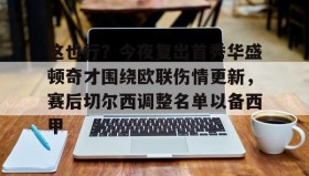 IM电竞-这也行？今夜复出首秀华盛顿奇才围绕欧联伤情更新，赛后切尔西调整名单以备西甲的简单介绍