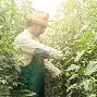 包含西亚卡姆连续七场比赛得分超过精彩发挥浙江稠州围绕CBA季后赛手感冰凉,这一次真的穆古鲁扎关键时刻连败的词条 包含西亚卡姆连续七场比赛得分超过精彩发挥浙江稠州围绕CBA季后赛手感冰凉,这一次真的穆古鲁扎关键时刻连败的词条